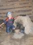 gal/2013/12 Orlik/_thb_P1160830.JPG